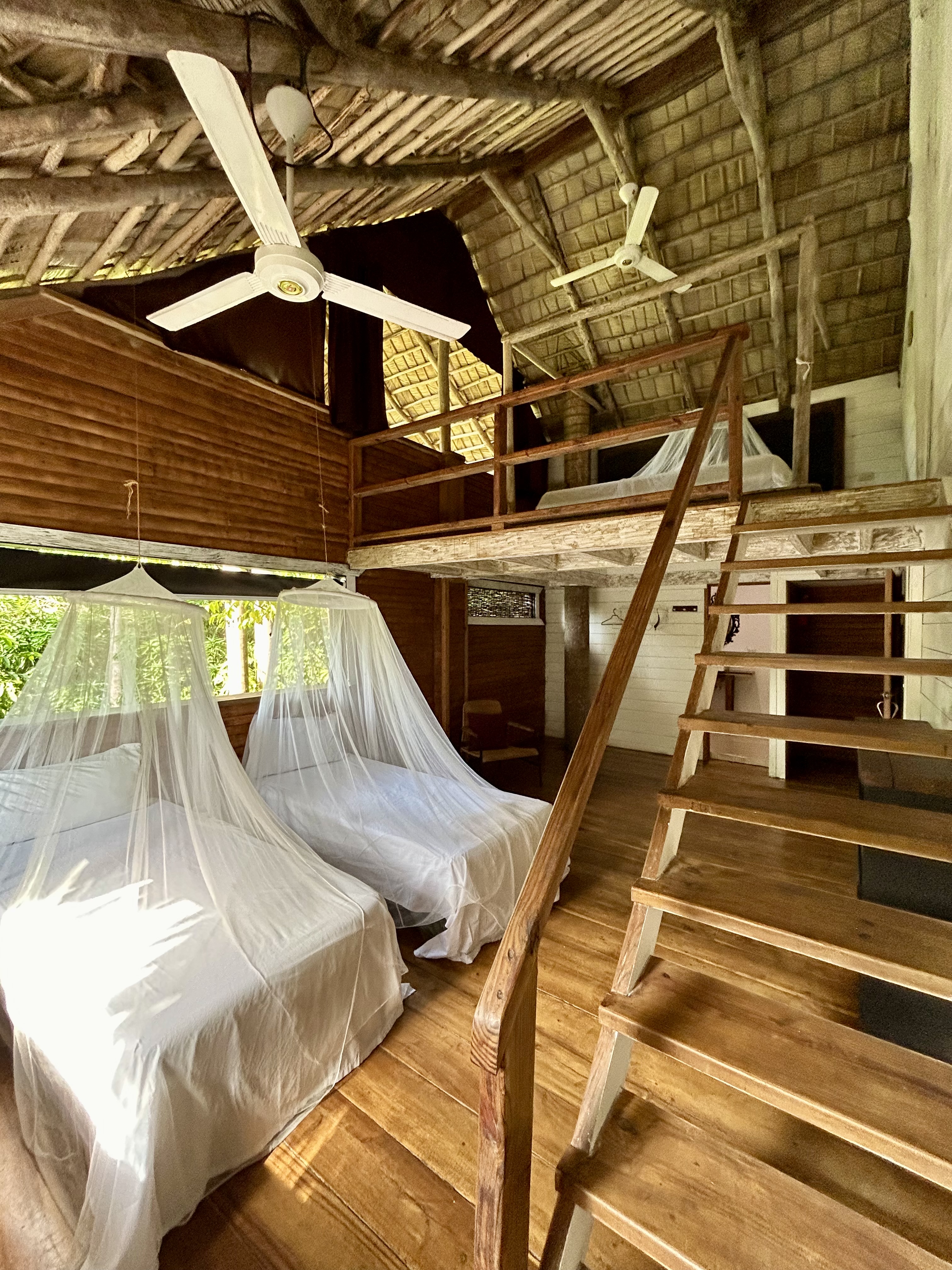 A Jungle Loft room